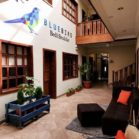 Blue Bird Bed And Breakfast Куэнка Экстерьер фото