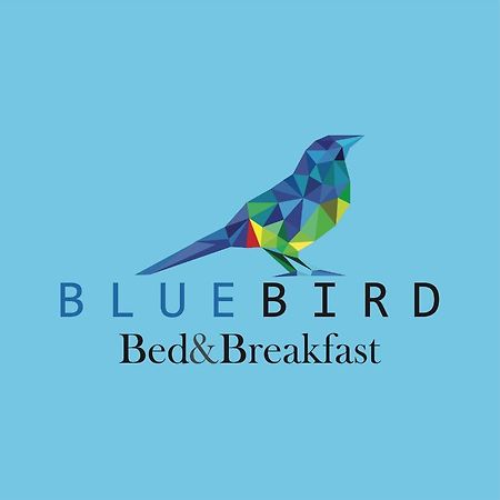 Blue Bird Bed And Breakfast Куэнка Экстерьер фото