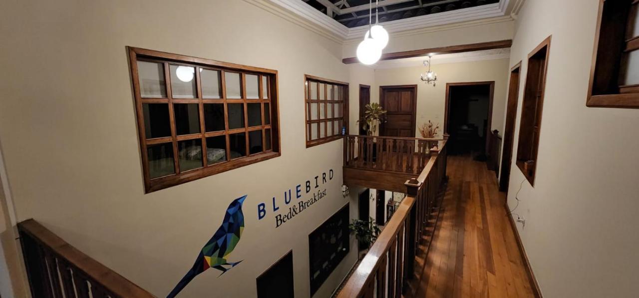 Blue Bird Bed And Breakfast Куэнка Экстерьер фото