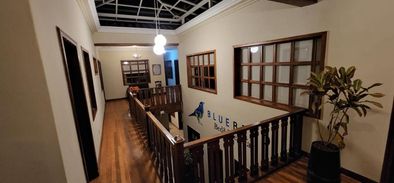 Blue Bird Bed And Breakfast Куэнка Экстерьер фото
