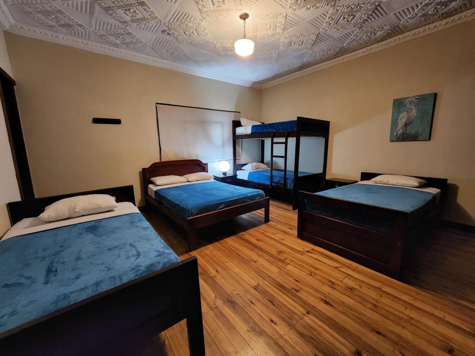Blue Bird Bed And Breakfast Куэнка Экстерьер фото