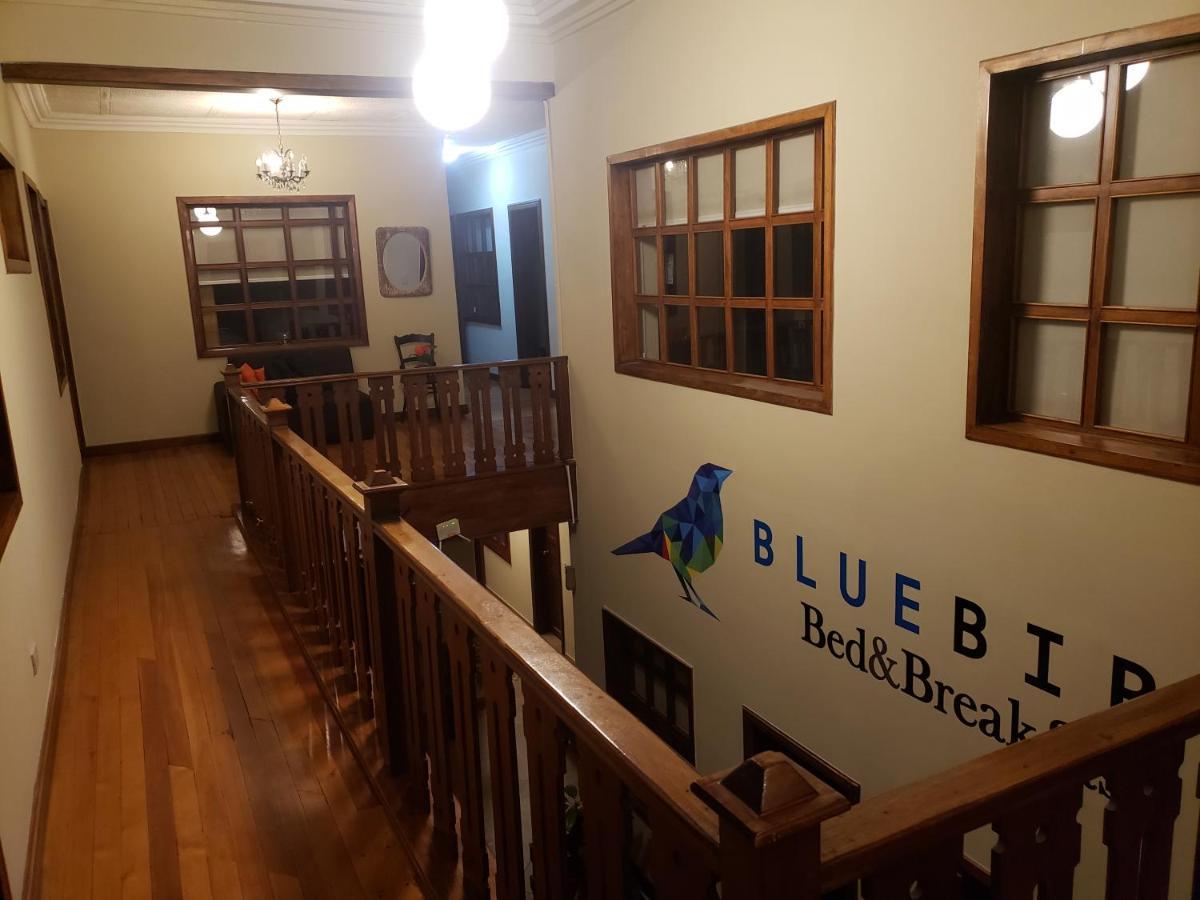 Blue Bird Bed And Breakfast Куэнка Экстерьер фото
