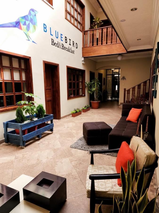 Blue Bird Bed And Breakfast Куэнка Экстерьер фото