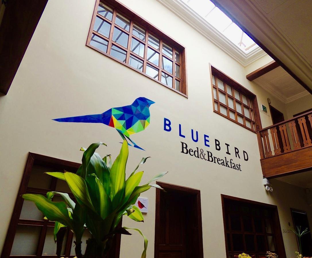 Blue Bird Bed And Breakfast Куэнка Экстерьер фото